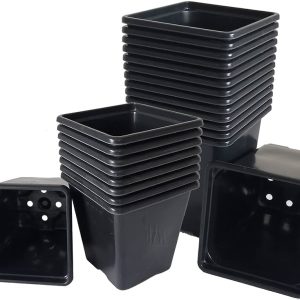 Square Pot - 11cm 1L