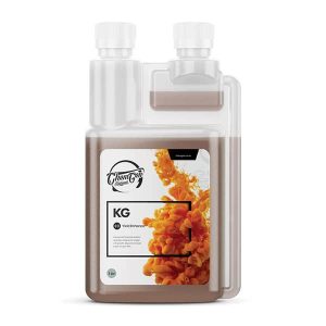 ChemGen KG