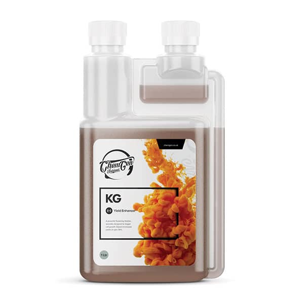 ChemGen KG