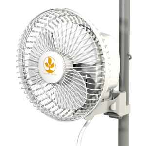 Secret Jardin Monkey Fans - 16W