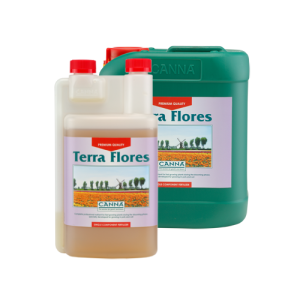 Canna Terra Flores