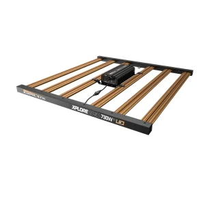 Dimlux Xplore Series 730W 9X LED