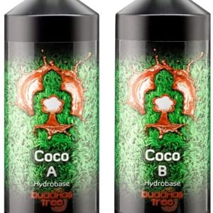 Buddhas Tree Coco A&B - 1L