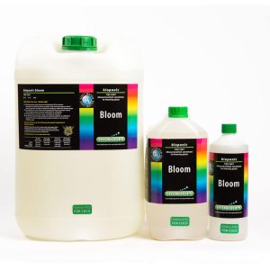 Hydrotops Bloom Coco A&B