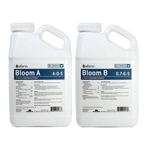 Athena Bloom A&B - 3.79L/1gal
