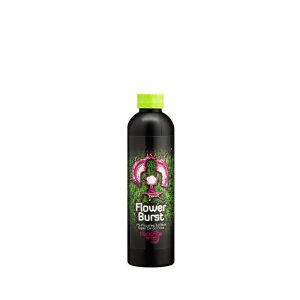 Buddhas Tree Flower Burst - 500ml