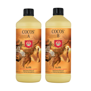 House & Garden Coco A&B