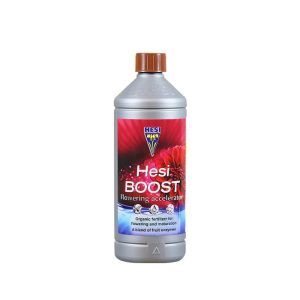 Hesi Boost