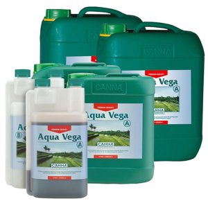 Canna aqua vega