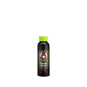 Buddhas Tree Flower Burst - 5L