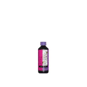 Atami BCuzz Bloom Stimulator - 500ml